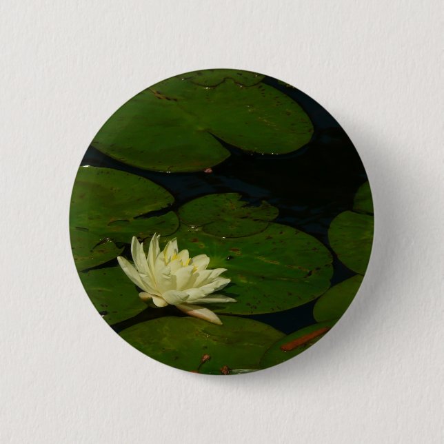 White Waterlily I Peaceful Floral Photography Button (Front)