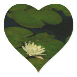 White Waterlily I Peaceful Floral Photography Heart Sticker