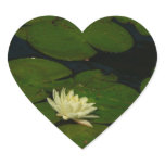 White Waterlily I Peaceful Floral Photography Heart Sticker
