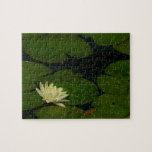 White Waterlily I Peaceful Floral Photography Jigsaw Puzzle