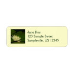 White Waterlily I Peaceful Floral Photography Label