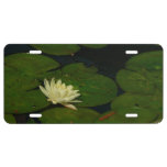 White Waterlily I Peaceful Floral Photography License Plate
