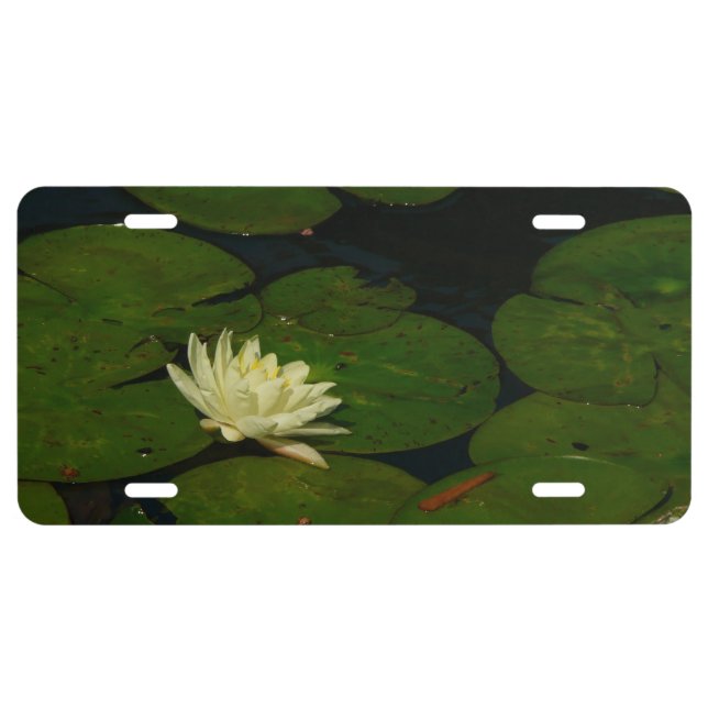 White Waterlily I Peaceful Floral Photography License Plate (Front)