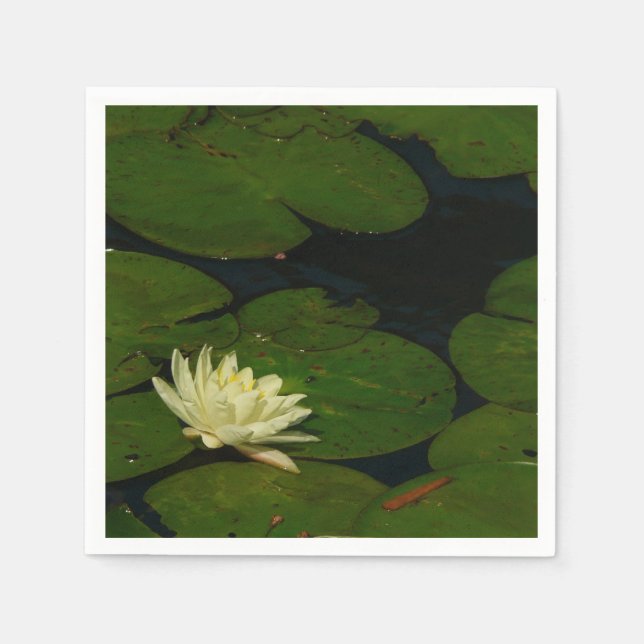White Waterlily I Peaceful Floral Photography Napkins (Front)