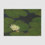 White Waterlily I Peaceful Floral Photography Tissue Paper