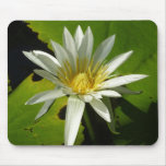 White Waterlily II Summer Floral Mouse Pad