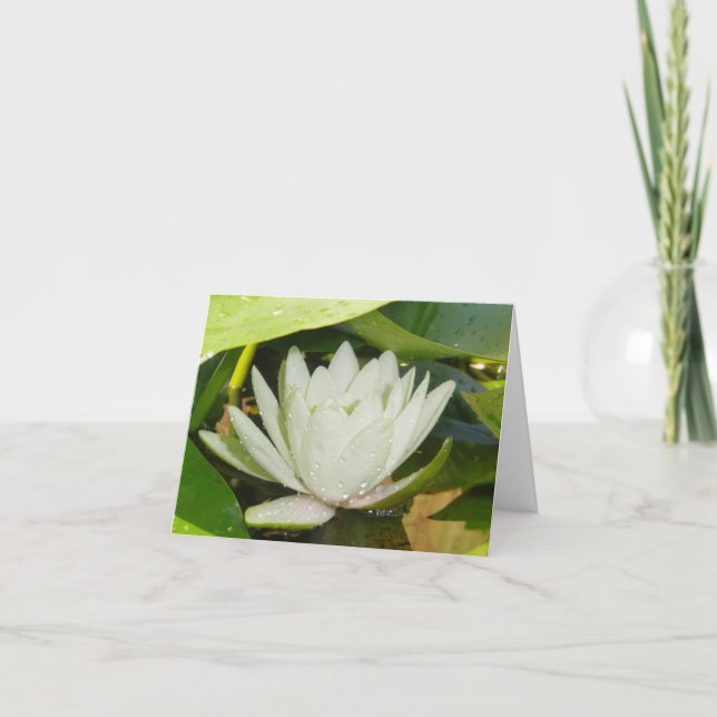 White Waterlily Sympathy Card (Front)