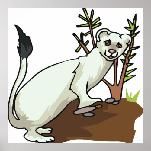 White Weasel Wildlife Poster