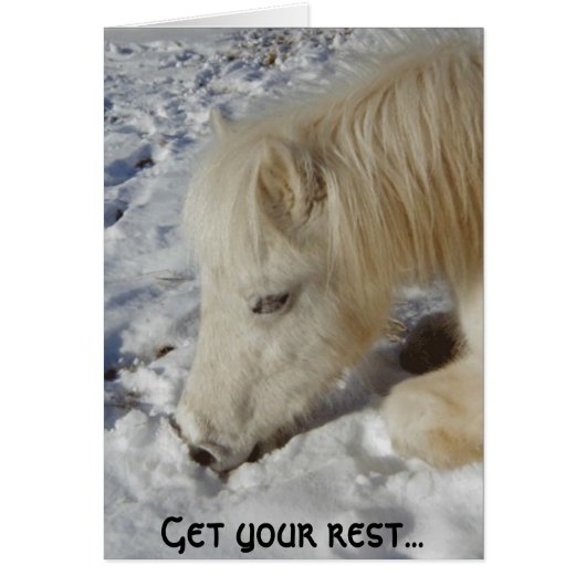 White Welsh Pony Asleep Cards (Front)