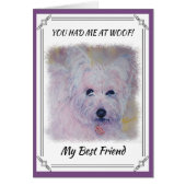 WHITE WEST HIGHLAND TERRIER (Front)