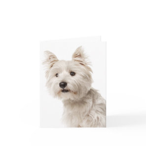 White West Highland Terrier Puppy Dog Hello Love Card