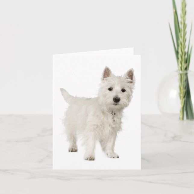 White West Highland Terrier Puppy Dog Hello Love Card (Front)