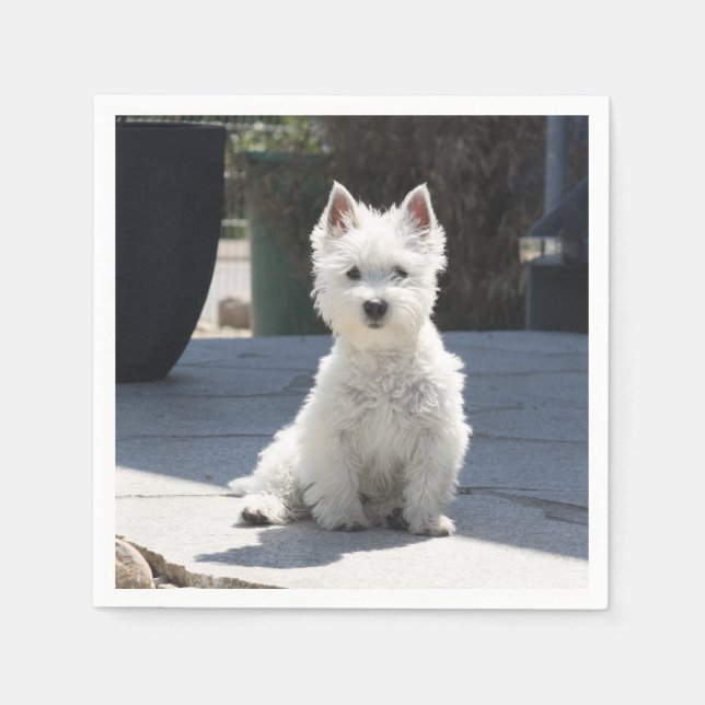 White West Highland Terrier Sitting on Sidewalk Paper Napkins (Front)