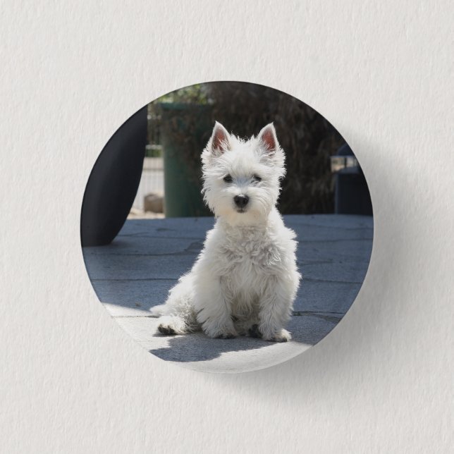 White West Highland Terrier Sitting on Sidewalk Pinback Button (Front)