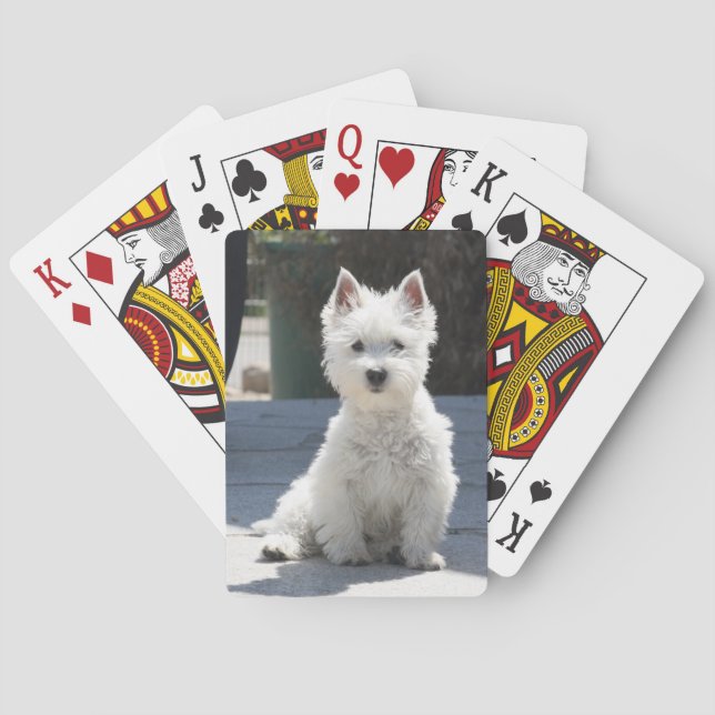 White West Highland Terrier Sitting on Sidewalk Poker Cards (Back)
