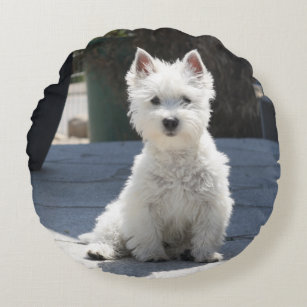 west highland terrier pillow