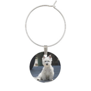 White West Highland Terrier Sitting on Sidewalk Wine Glass Charm