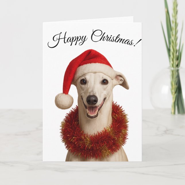 White whippet in Santa hat Christmas Holiday card (Front)