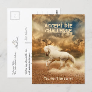 White Wild Horse Crossing the Desert - Collectible Postcard