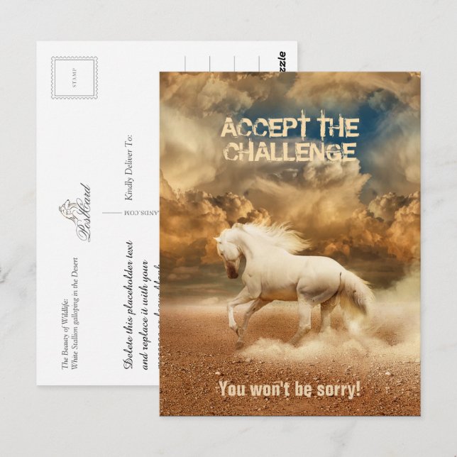 White Wild Horse Crossing the Desert - Collectible Postcard (Front/Back)