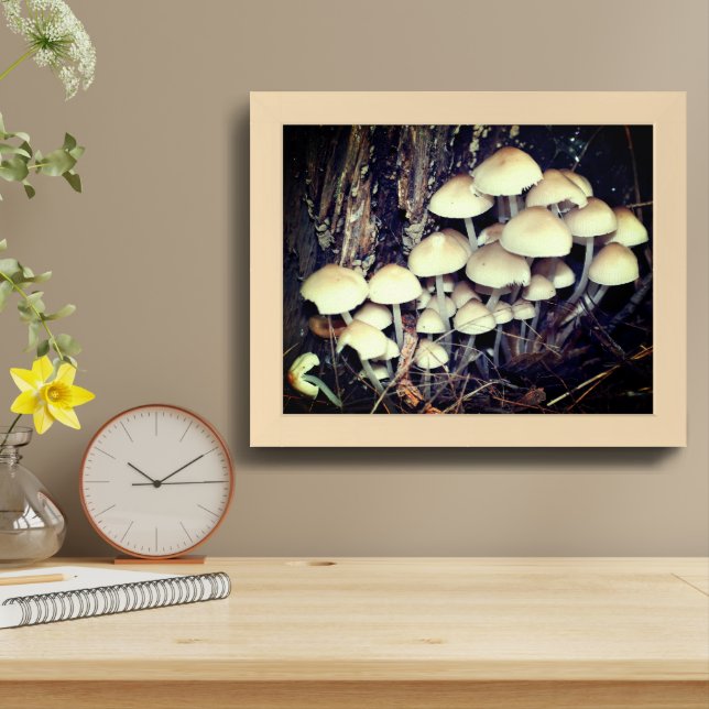 White Wild Mushroom Cluster Framed Framed Art (Table Top)