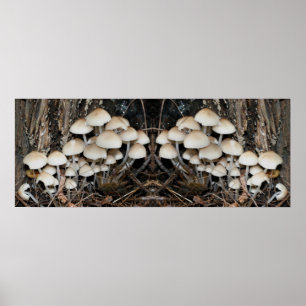 White Wild Mushroom Cluster Mirror Abstract Poster