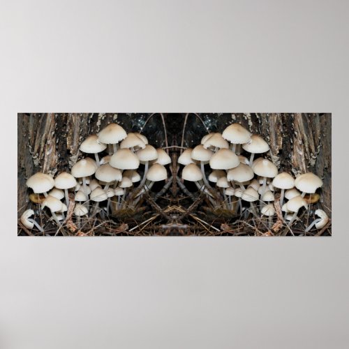 White Wild Mushroom Cluster Mirror Abstract Poster