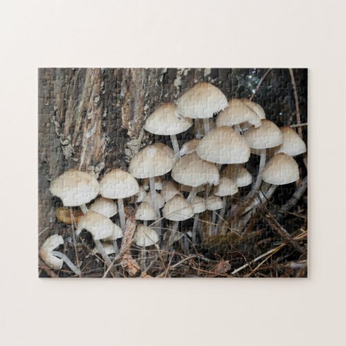 White Wild Mushroom Cluster Nature  Jigsaw Puzzle