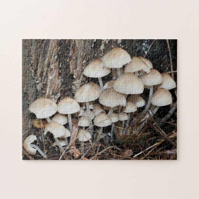 White Wild Mushroom Cluster Nature  Jigsaw Puzzle (Horizontal)