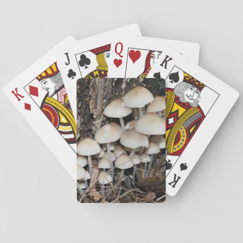 White Wild Mushroom Cluster Nature  Poker Cards