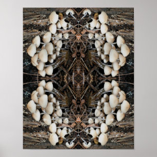 White Wild Mushrooms Abstract Nature  Poster