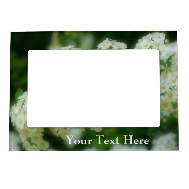 White Wild Roses Flowers Magnetic Frame (Front)