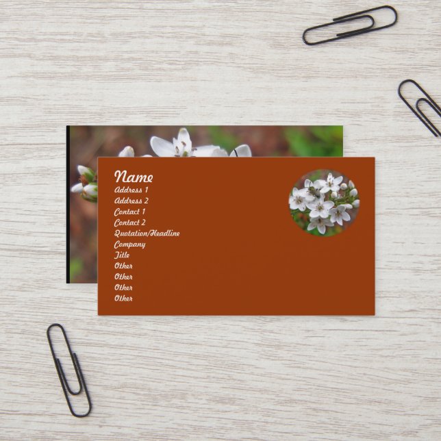 White Wildflower & Bee Fly Business Card (Front/Back In Situ)