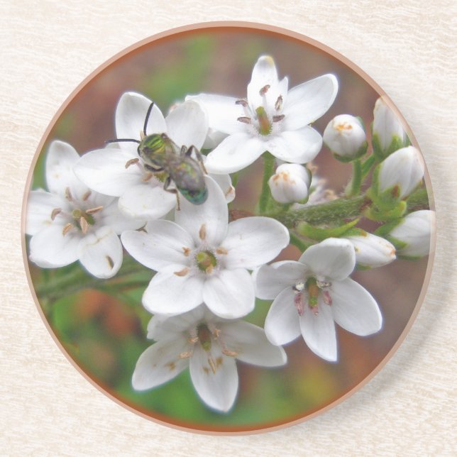White Wildflower & Bee Fly Drink Coaster (Front)