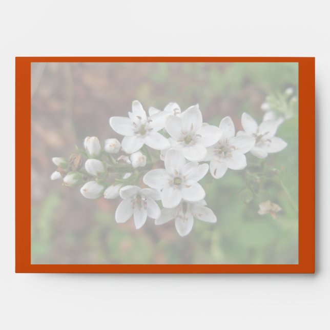 White Wildflower & Bee Fly Envelope (Front)