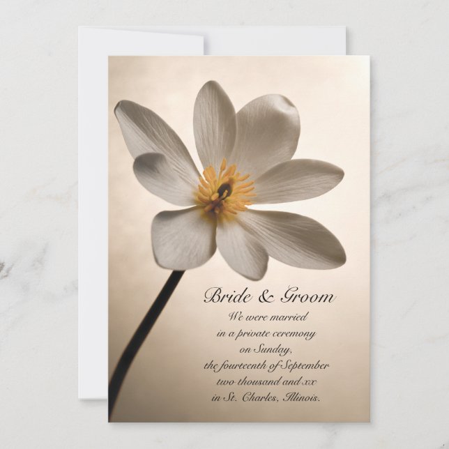 White Wildflower Marriage / Elopement Announcement (Front)
