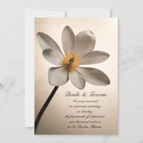 White Wildflower Marriage / Elopement Announcement