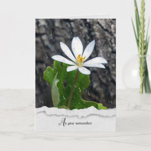 White Wildflower Raindrops sympathy card