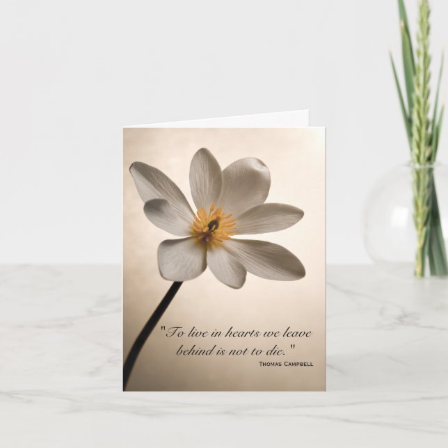 White Wildflower Thank You for Your Sympathy Card (Front)