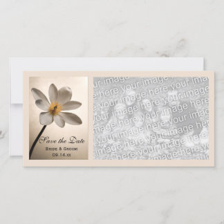 White Wildflower Wedding Save the Date