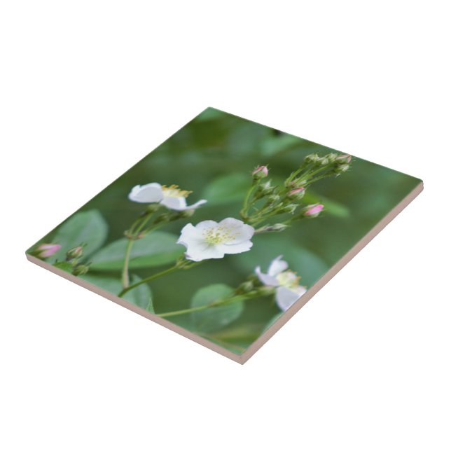 White Wildflowers Ceramic Tile (Side)