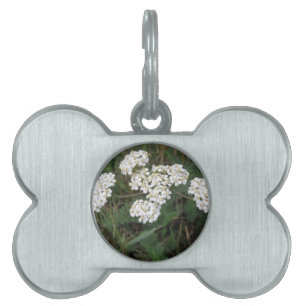 White Wildflowers Pet Tag