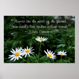 White Wildflowers Poster