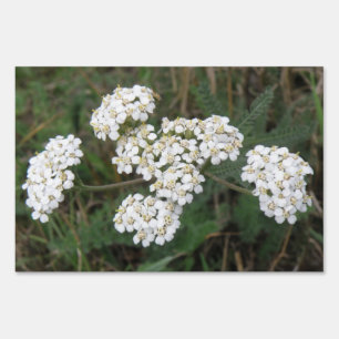 White Wildflowers Yard Sign