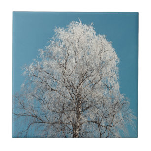 White Willow Tree Against Cloudless Blue Sky Ceramic Tile