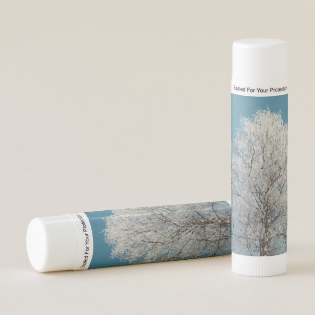  White Willow Tree Against Cloudless Blue Sky Lip Balm (Front)