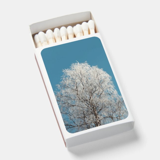  White Willow Tree Against Cloudless Blue Sky Matchboxes (Front Open)