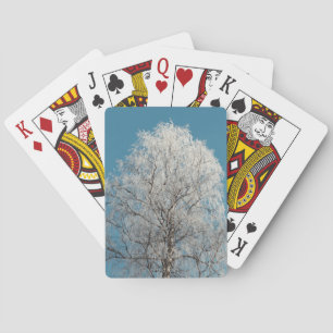 White Willow Tree Against Cloudless Blue Sky Poker Cards