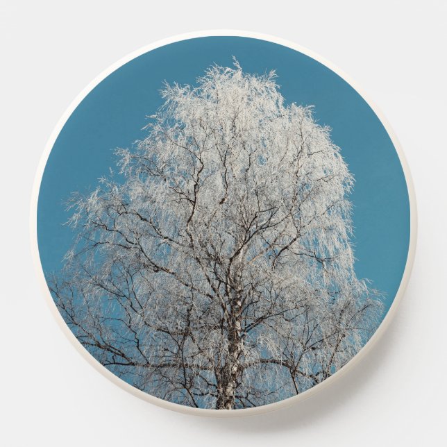  White Willow Tree Against Cloudless Blue Sky PopSocket (Popsocket)