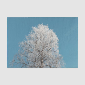  White Willow Tree Against Cloudless Blue Sky Tissue Paper